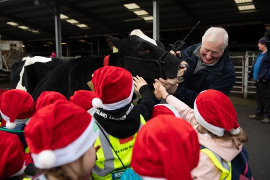 Roscrea Mart 2