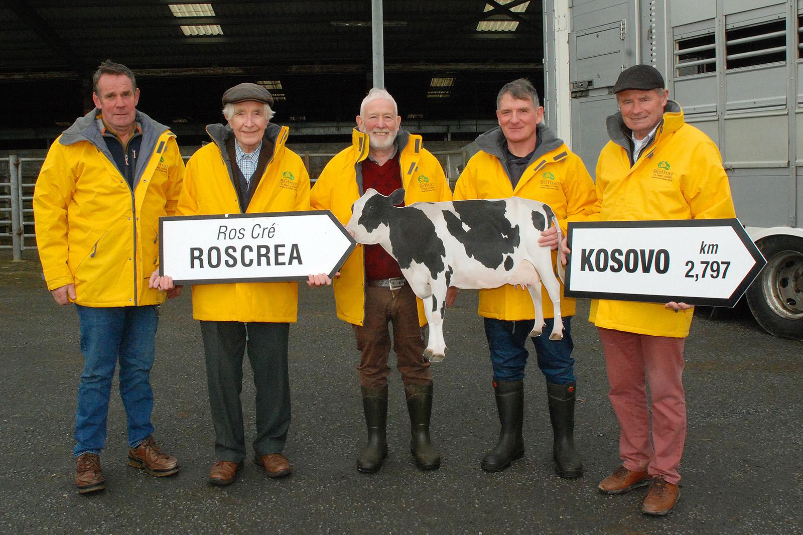 Autumn Shipment Roscrea